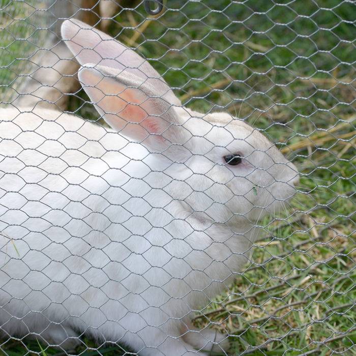 FLOORDIREKT Drahtzaun - Ideal zum Einzäunen von Garten & Kleintieren - Verzinkt - Robust & Witterungsbeständig - 25 m x 50 cm - Maschenweite: 13 mm