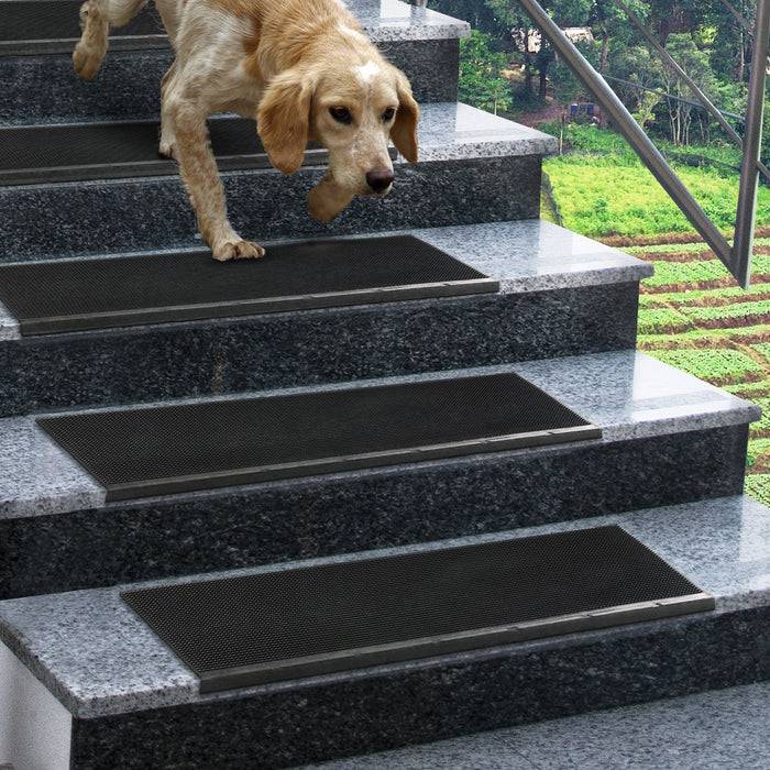Ein Hund geht Außentreppen hinunter, die mit rutschfester Beschichtung versehen sind. Im Hintergrund sind grünes Gras und Bäume zu sehen.