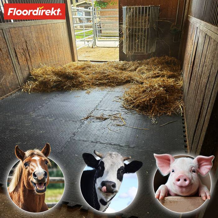 Ein Stallbereich mit Gummiboden und verstretem Stroh, gezeigt mit Bildern eines Pferdes, einer Kuh und eines Schweins, was auf die Nutzung durch Tiere hindeutet.