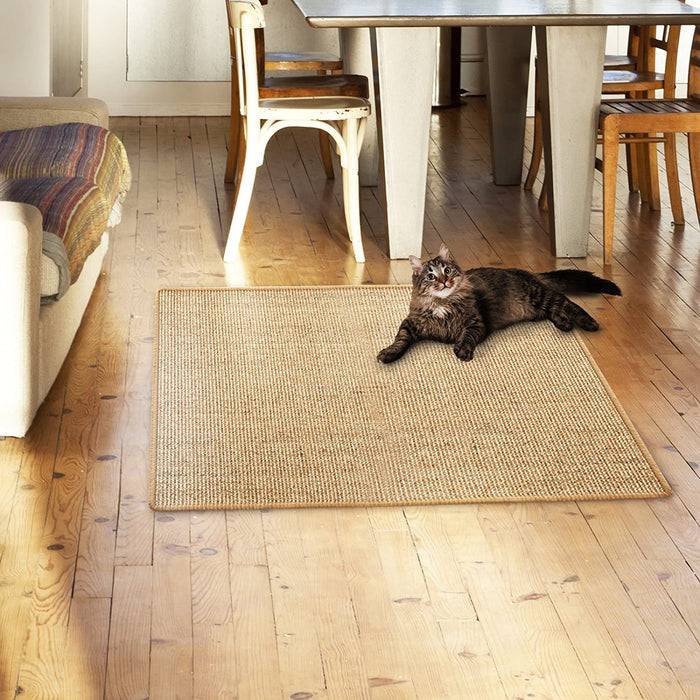 Eine Katze, die auf einem beigefarbenen Teppich in einem sonnendurchfluteten Zimmer mit Holzböden faulenzt, neben einem Sofa und einem Esstisch mit Stühlen.