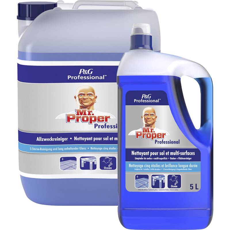 P&G Professional Meister Proper Allzweckreiniger, 10l, Ocean