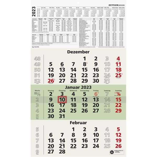Dreimonatskalender 956 grün 2023 29,5x49cm