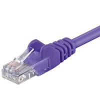 Nahaufnahme eines violetten Ethernet-Kabels mit einem transparenten RJ45-Stecker auf weißem Hintergrund.