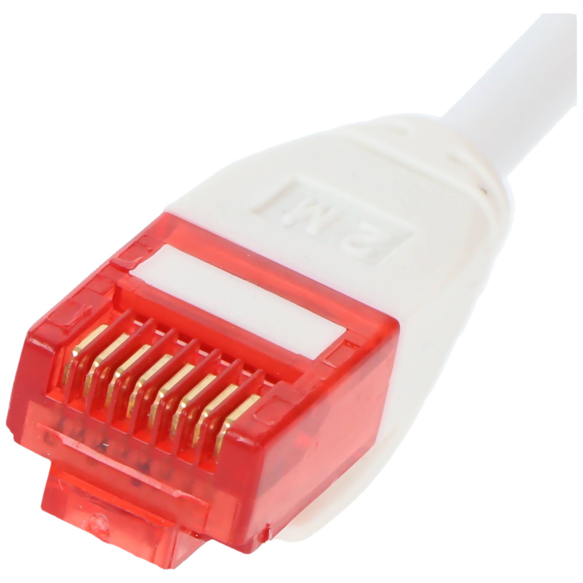 Nahaufnahme eines weißen Ethernetkabels mit einem transparenten roten RJ45-Steckerverbinder.
