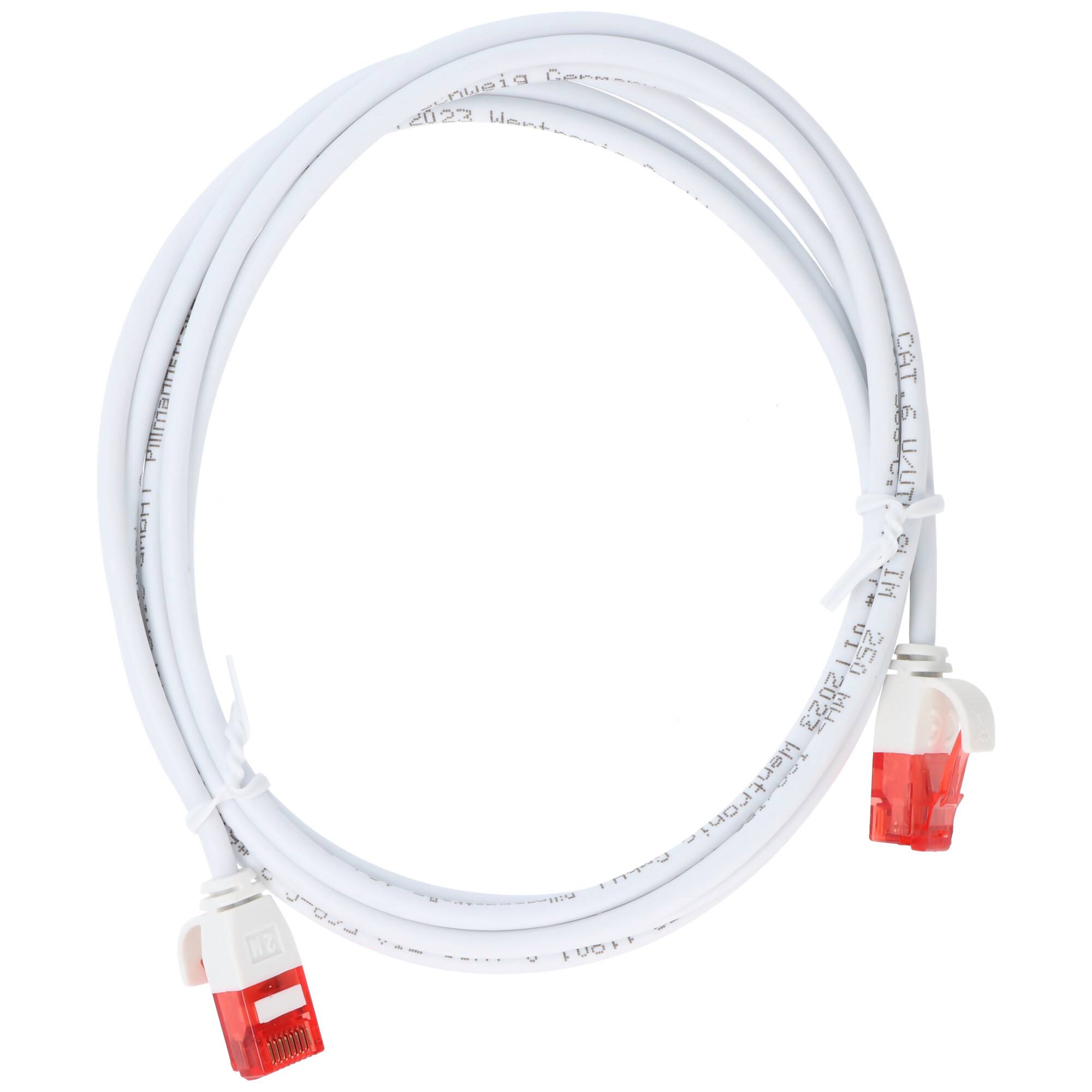 Aufgerolltes weißes Ethernet-Kabel mit roten RJ45-Steckern an beiden Enden.