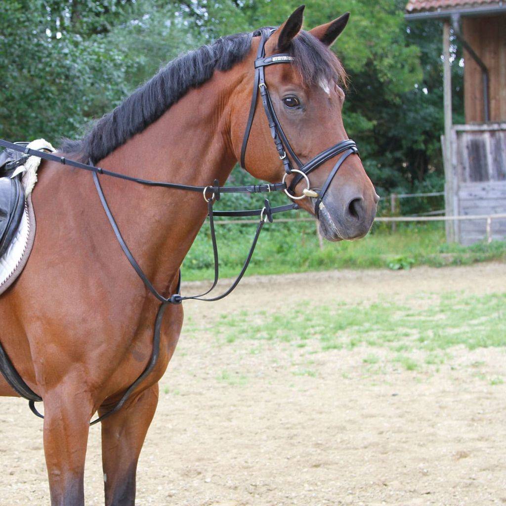 Kerbl Martingal Schwarz Warmblut 321754