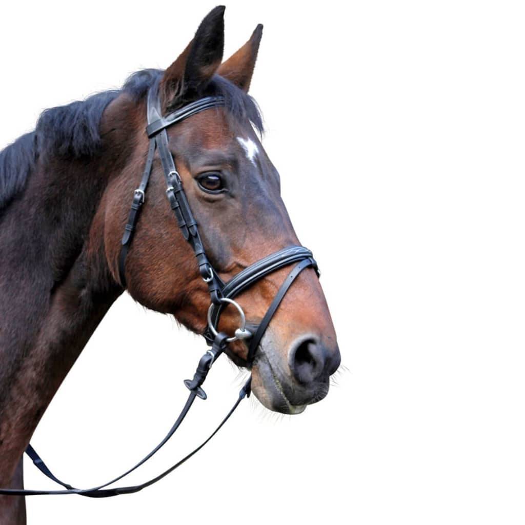 Kerbl Trensenzaum Classic Leder Schwarz Pony 326138