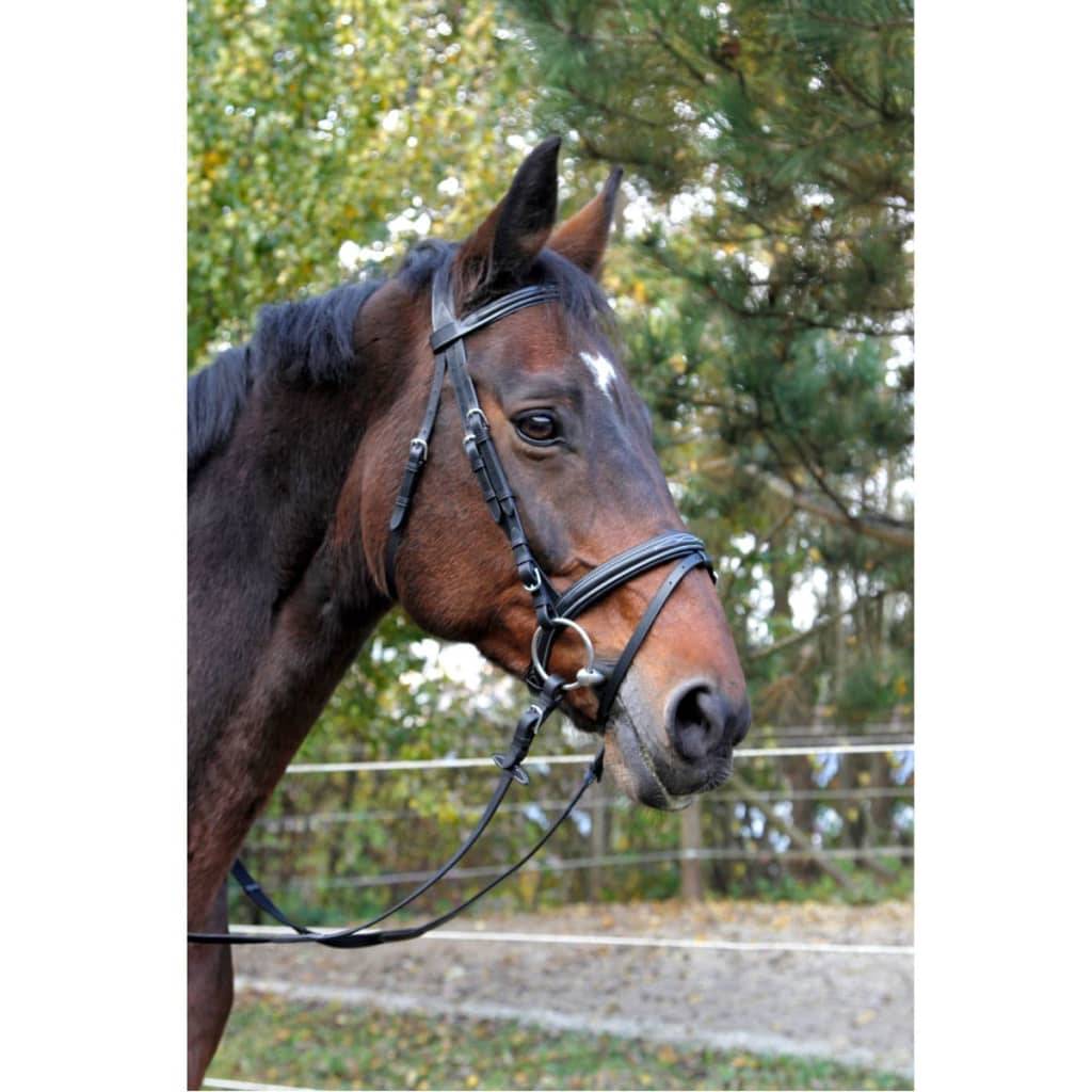 Kerbl Trensenzaum Classic Leder Schwarz Pony 326138