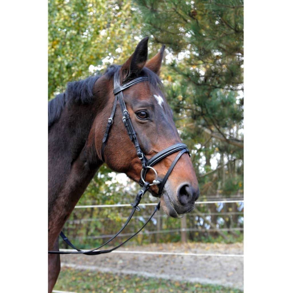 Kerbl Trensenzaum Classic Leder Schwarz Pony 326137