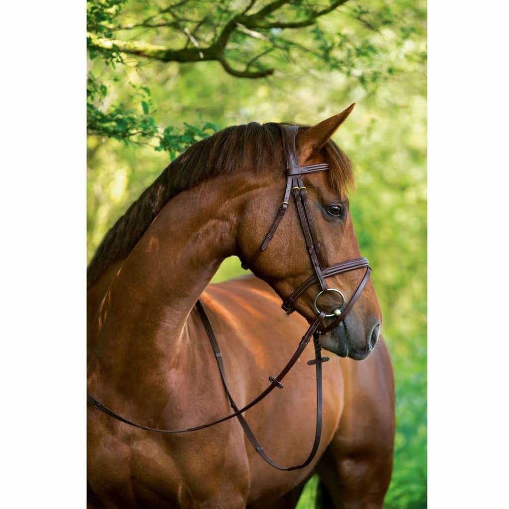 Kerbl Trensenzaum Classic Leder Braun Warmblut 324913