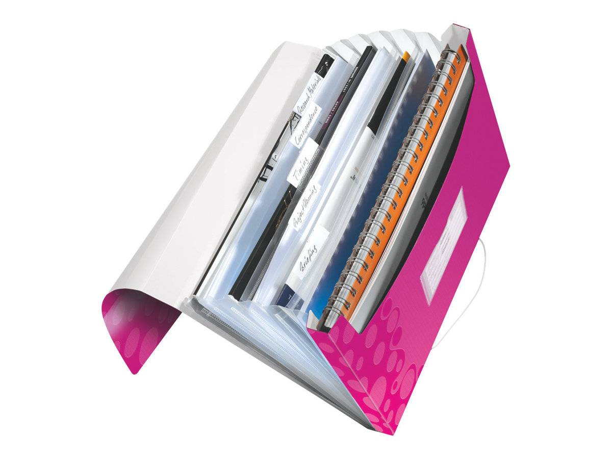 LEITZ Fächermappe WOW 4589 6 Fächer pink, 1 St.