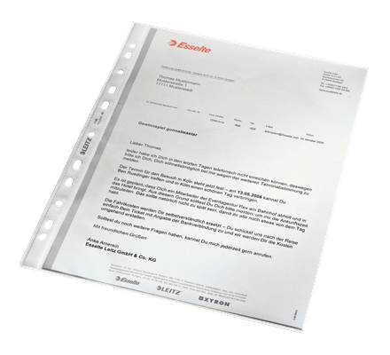 LEITZ Prospekthüllen 4796 DIN A4 transparent genarbt 0,065 mm, 100 St.