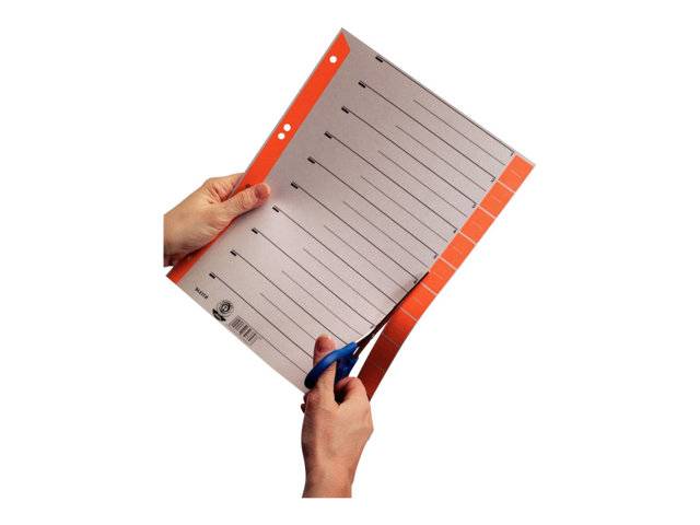 Esselte Leitz Trennelement - 10 Teile - vorgedruckt: 0-9