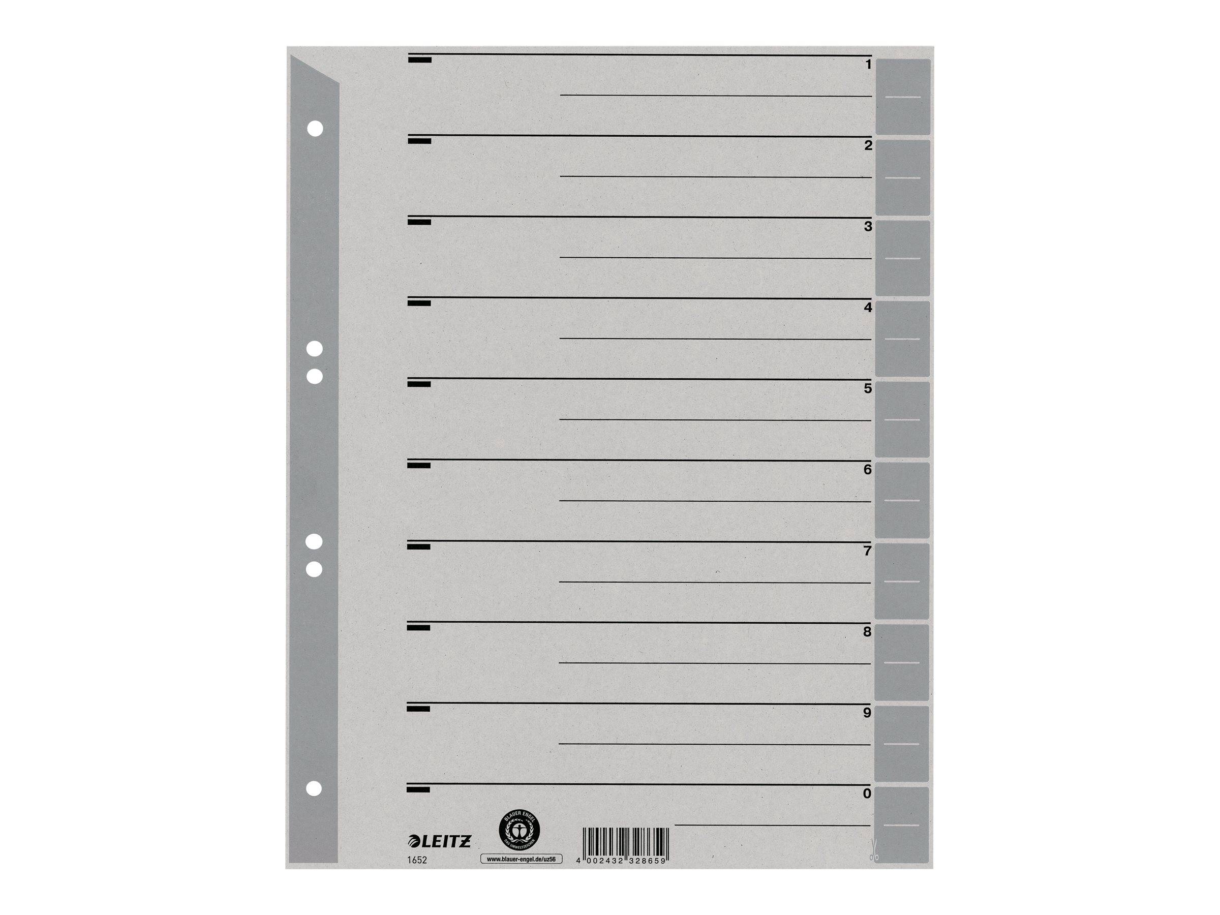 Esselte Leitz Trennelement - für A4 (210 x 297 mm)