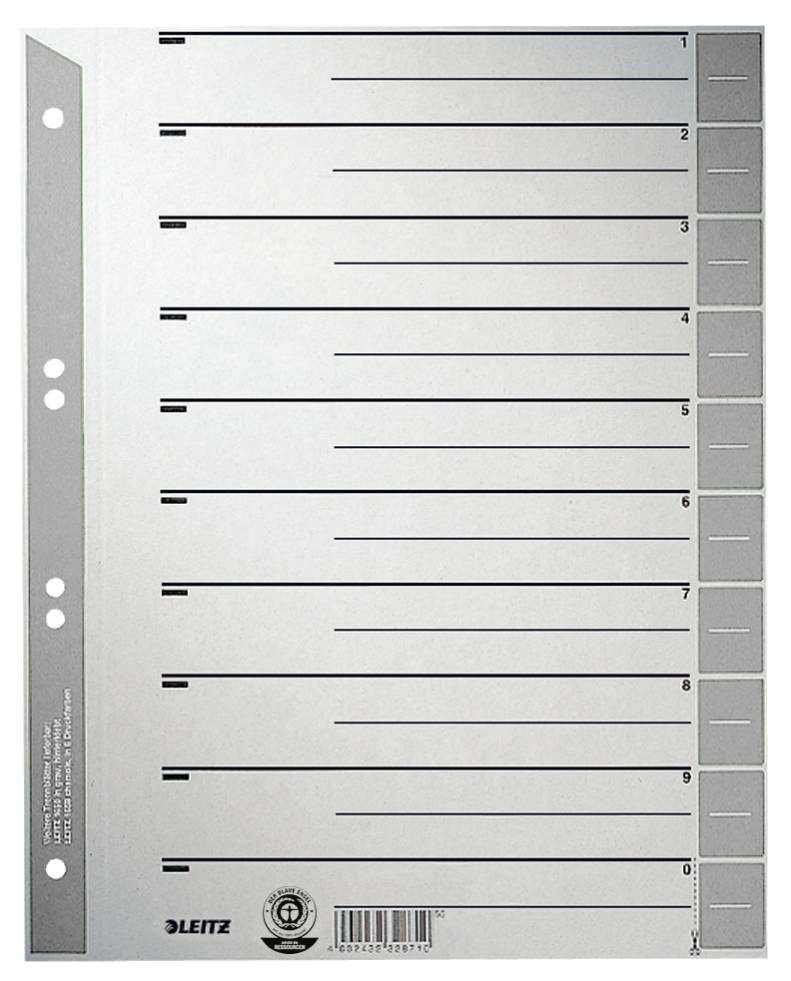 Esselte Leitz Trennelement - für A4 (210 x 297 mm)