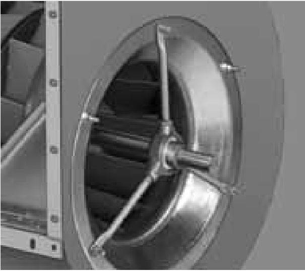 Nicotra-Gebhardt Ventilator RZR-19-250