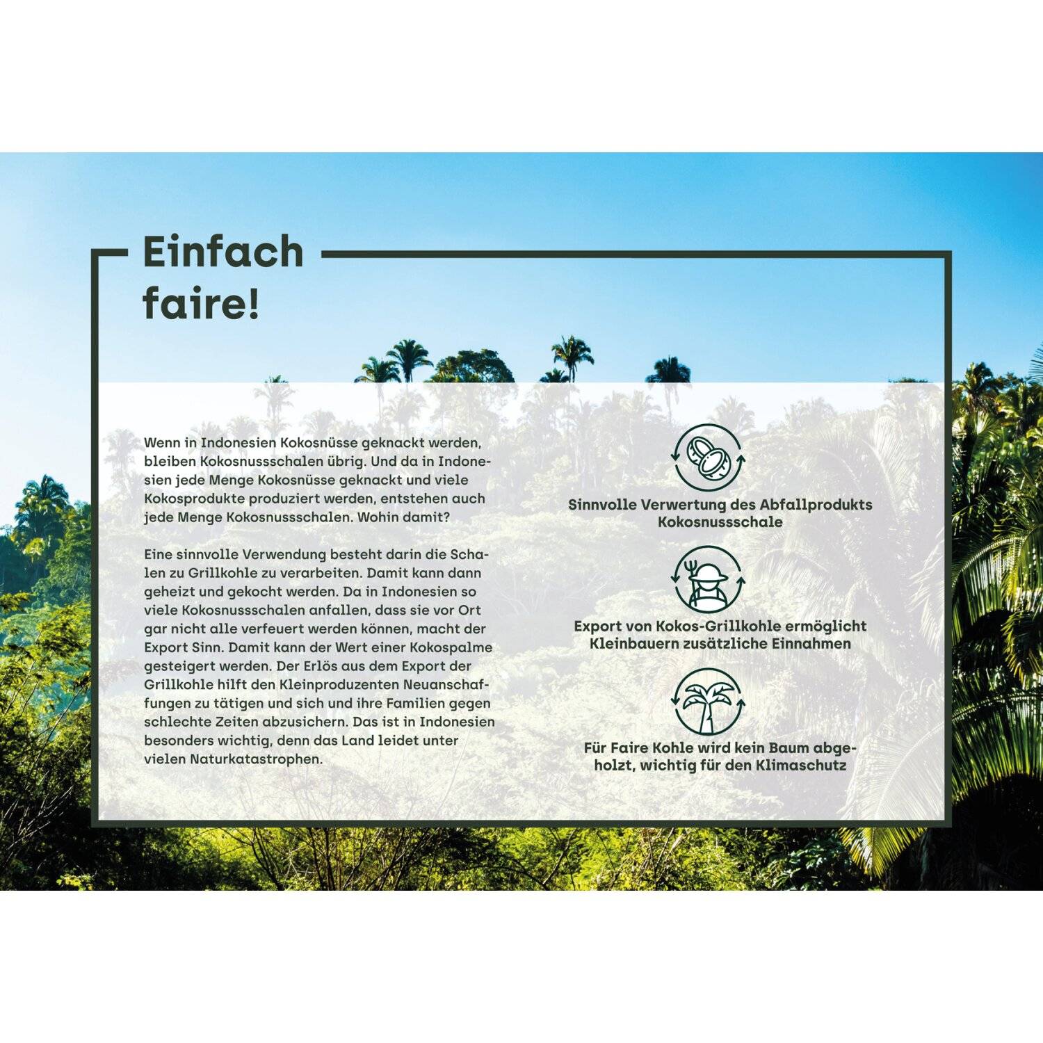 Cocobration Kokosgrill Briketts Kohle aus Kokos Grillholzkohle Natur Kohle Grillkohle BBQ Kokoskohle 3KG