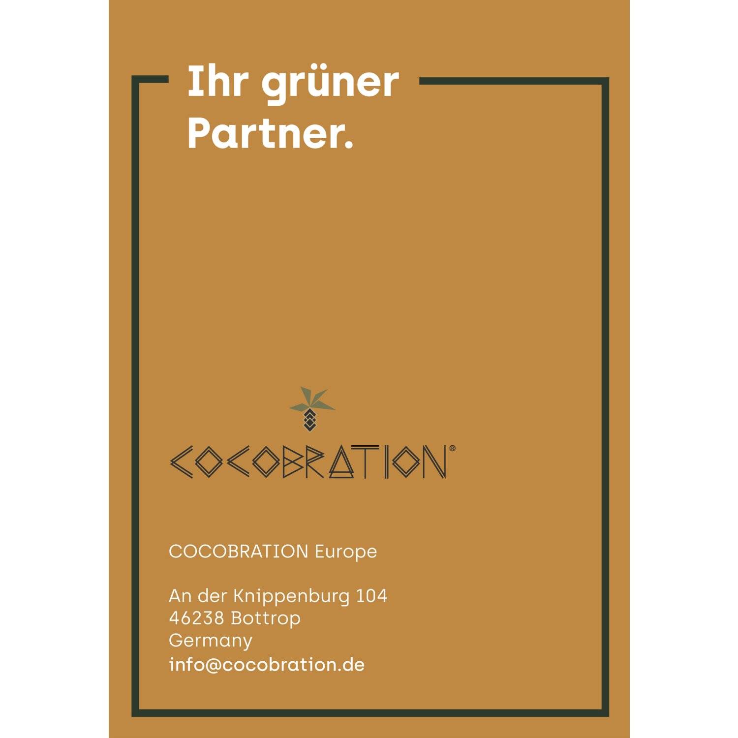 Cocobration Kokosgrill Briketts Kohle aus Kokos Grillholzkohle Natur Kohle Grillkohle BBQ Kokoskohle 18KG