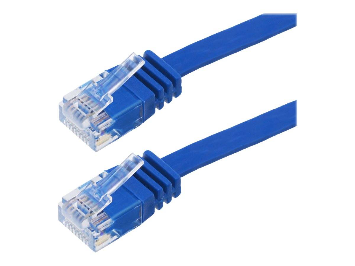 Zwei blaue Ethernet-Kabel mit RJ45-Steckern auf weißem Hintergrund gezeigt.