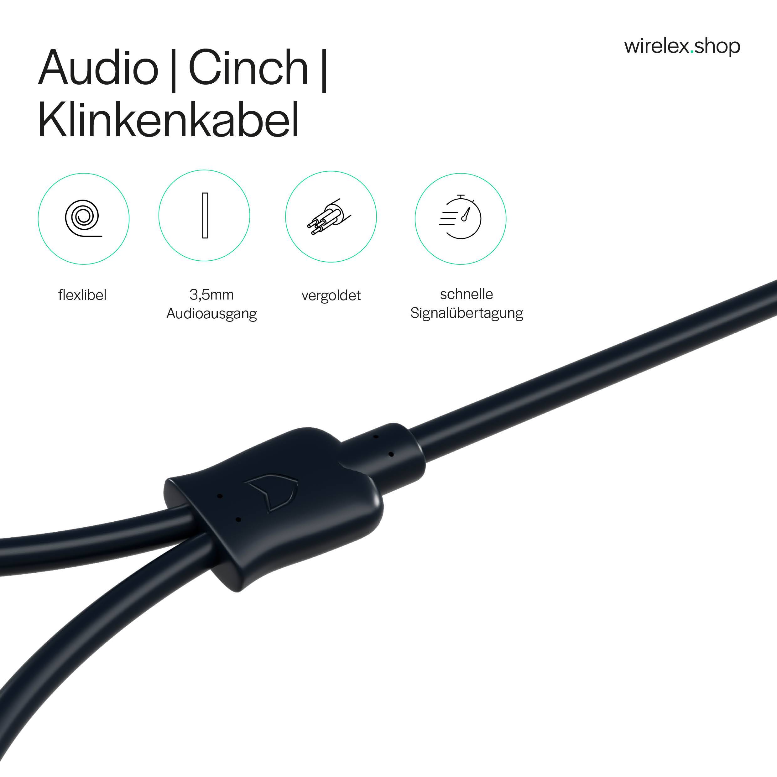3,5mm Winkel Stecker auf 2xCinch Stecker RCA 3m