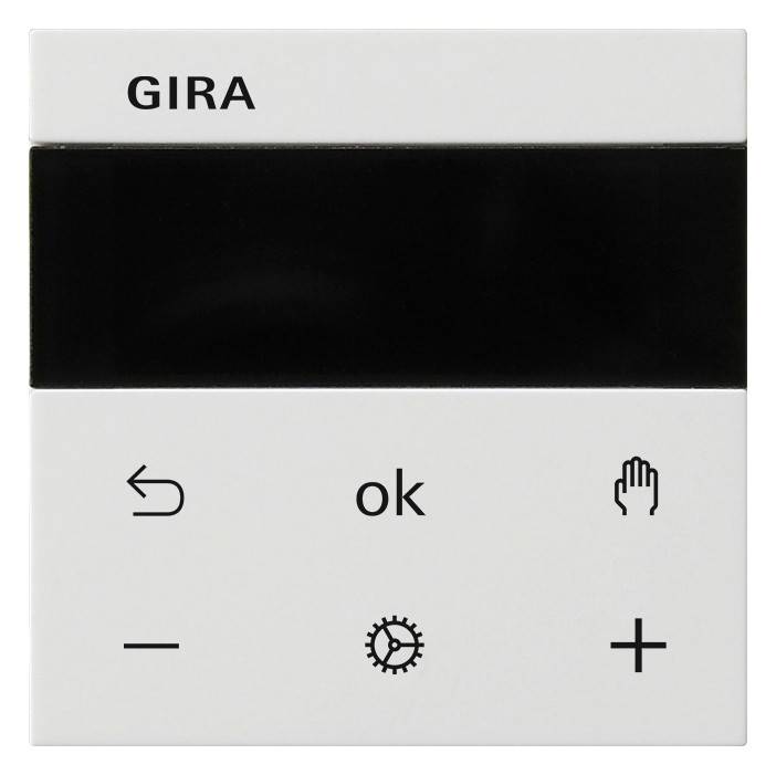Gira RTR Display 539327