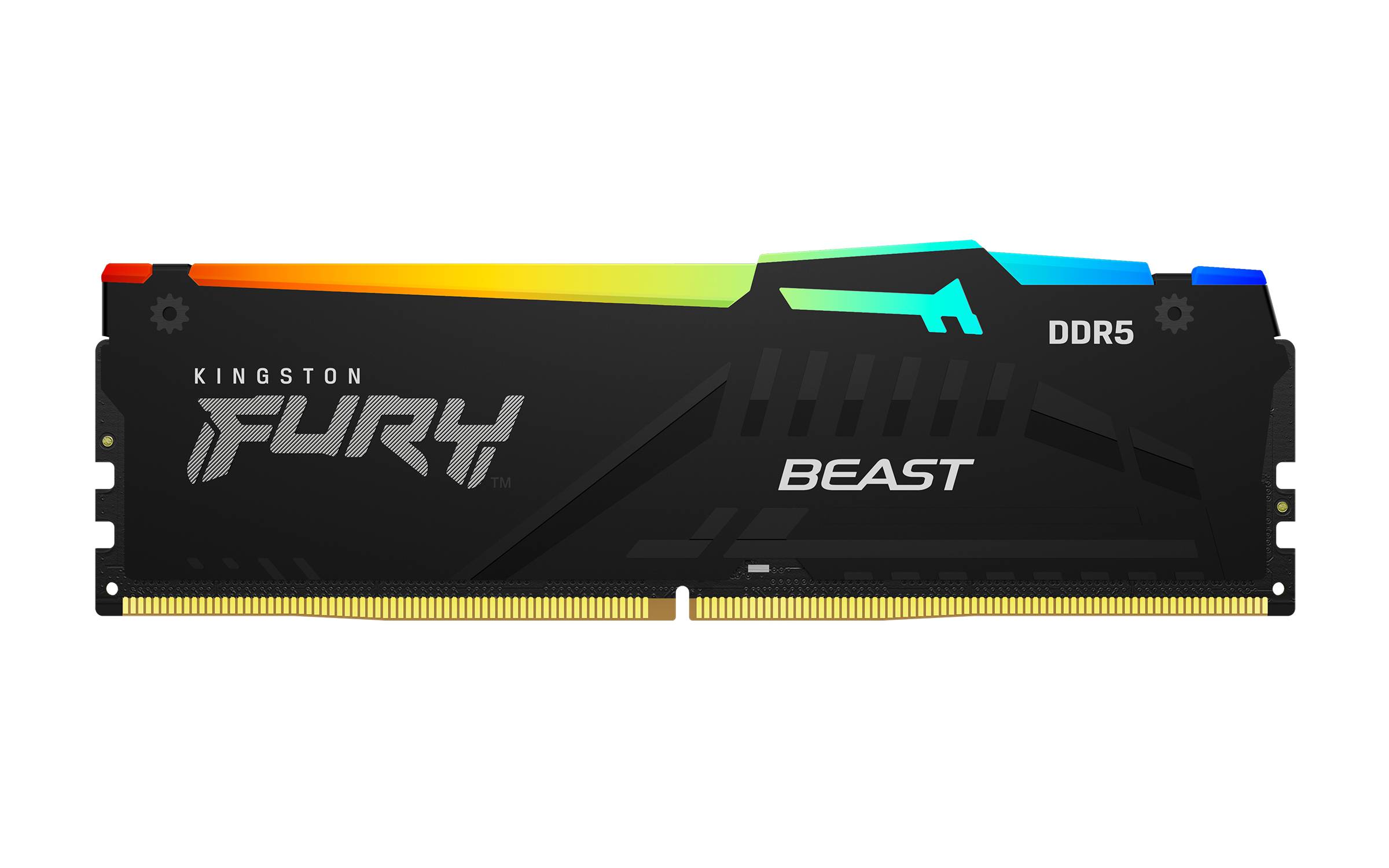 Kingston FURY Beast RGB - DDR5 - Modul - 32 GB