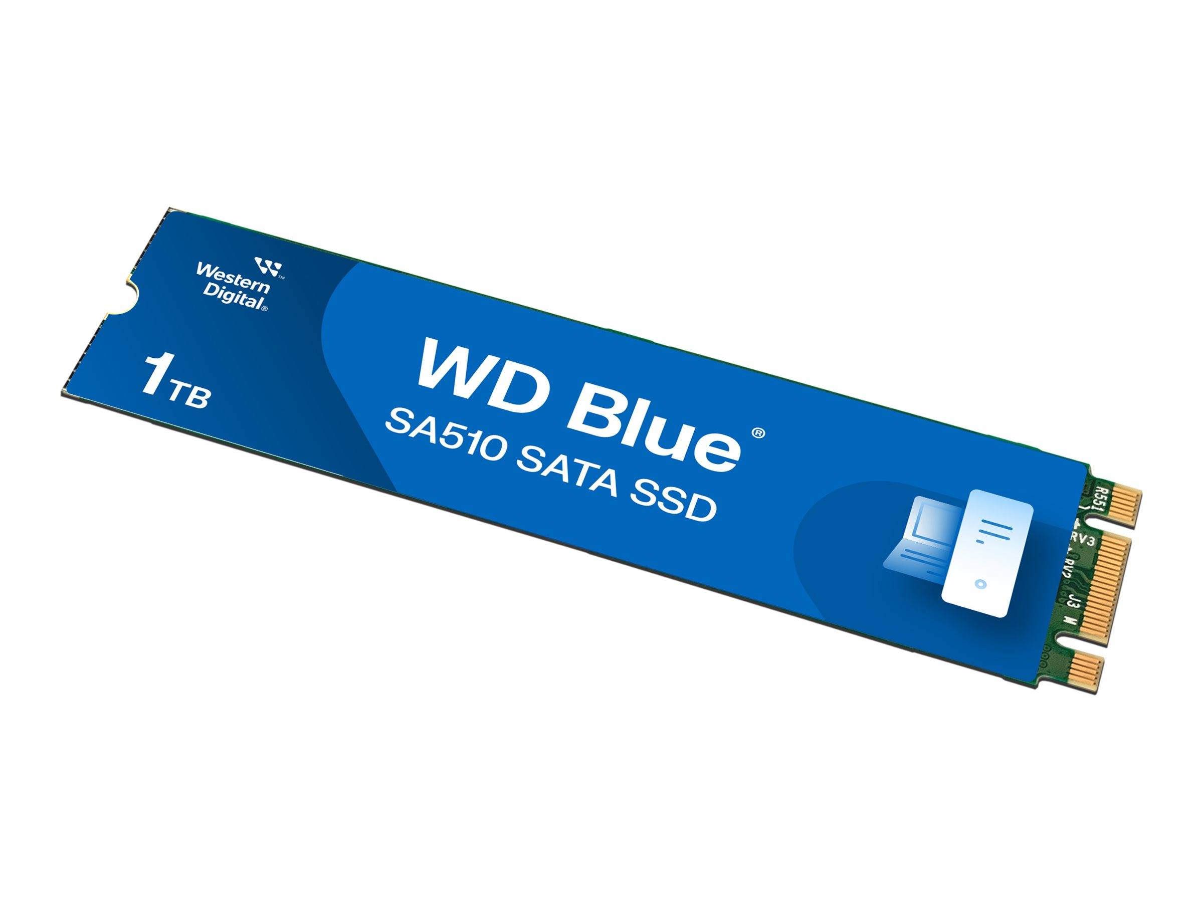 WD Blue SA510 WDS100T3B0B - SSD - 1 TB - intern