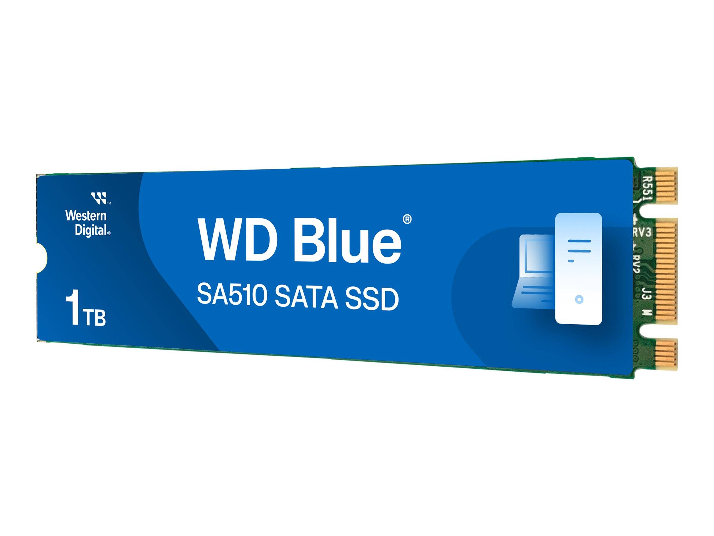 WD Blue SA510 WDS100T3B0B - SSD - 1 TB - intern