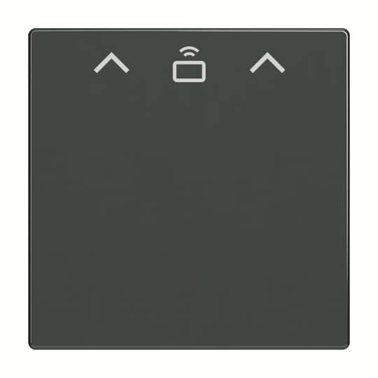 Busch-Jaeger Zent.Sch.Cardschalter RFID 1792 RFID-81