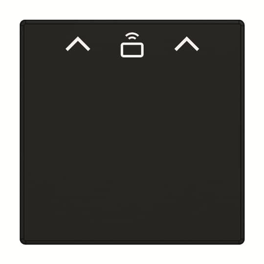 Busch-Jaeger Zent.Sch.Cardschalter RFID 1792 RFID-885