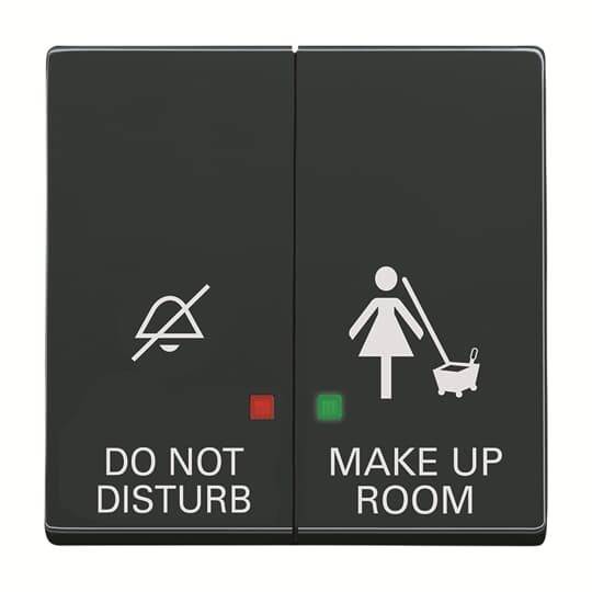 Busch-Jaeger Wippe 2058-24-81