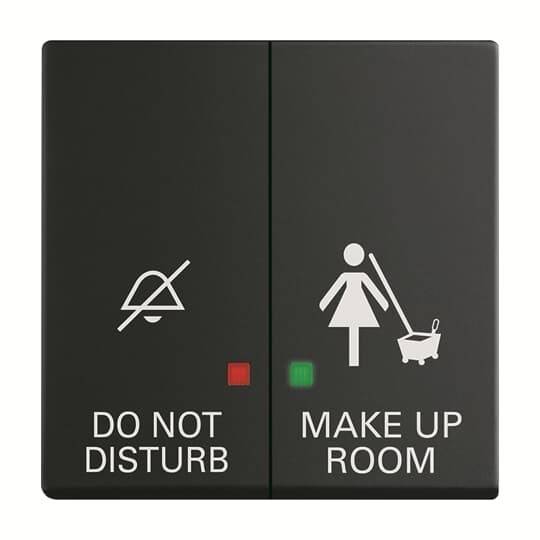 Busch-Jaeger Wippe 2058-24-885