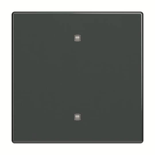 Busch-Jaeger Wippe 2570-10-81