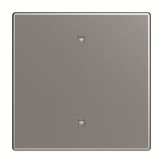 Busch-Jaeger Wippe 2570-10-866