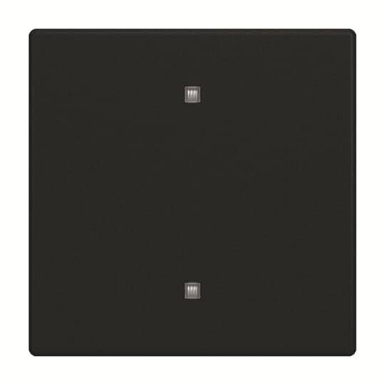 Busch-Jaeger Wippe 2570-10-885