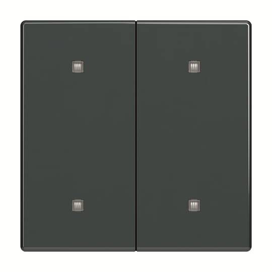 Busch-Jaeger Wippe 2-fach 2570-20-81