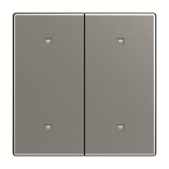 Busch-Jaeger Wippe 2-fach 2570-20-866