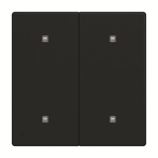 Busch-Jaeger Wippe 2-fach 2570-20-885