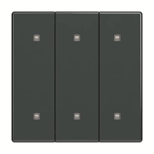 Busch-Jaeger Wippe 3-fach 2570-30-81