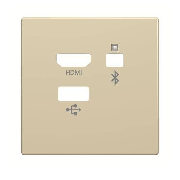 10 Stk. Busch-Jaeger Zentralscheibe 8256-82