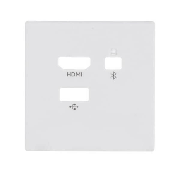 Busch-Jaeger Zentralscheibe 8256-884