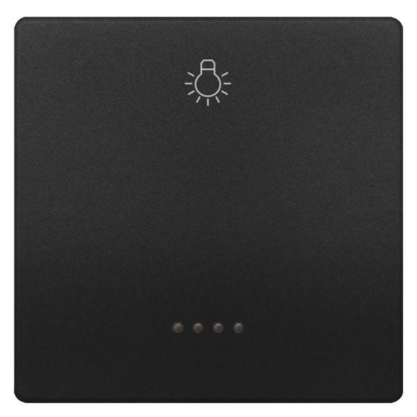 Siemens Dig.Industr. style Wippe anthrazit 5TG7141-0AC21