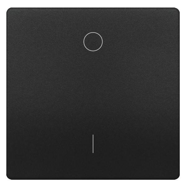 Siemens Dig.Industr. style Wippe anthrazit 5TG7141-0AC40