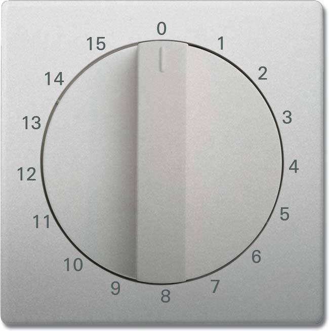 Busch-Jaeger Zentralscheibe edelstahl 1770-866-103