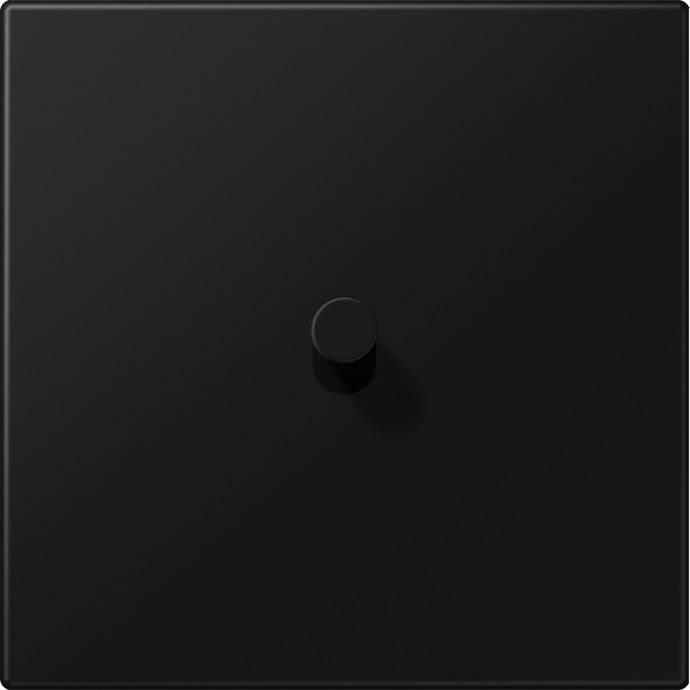 Jung Abdeckung mit Kipphebel AL 12-0 SWM K 08