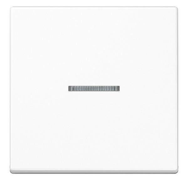 Jung Wippe mit Linse A 590 BF KO5 WW