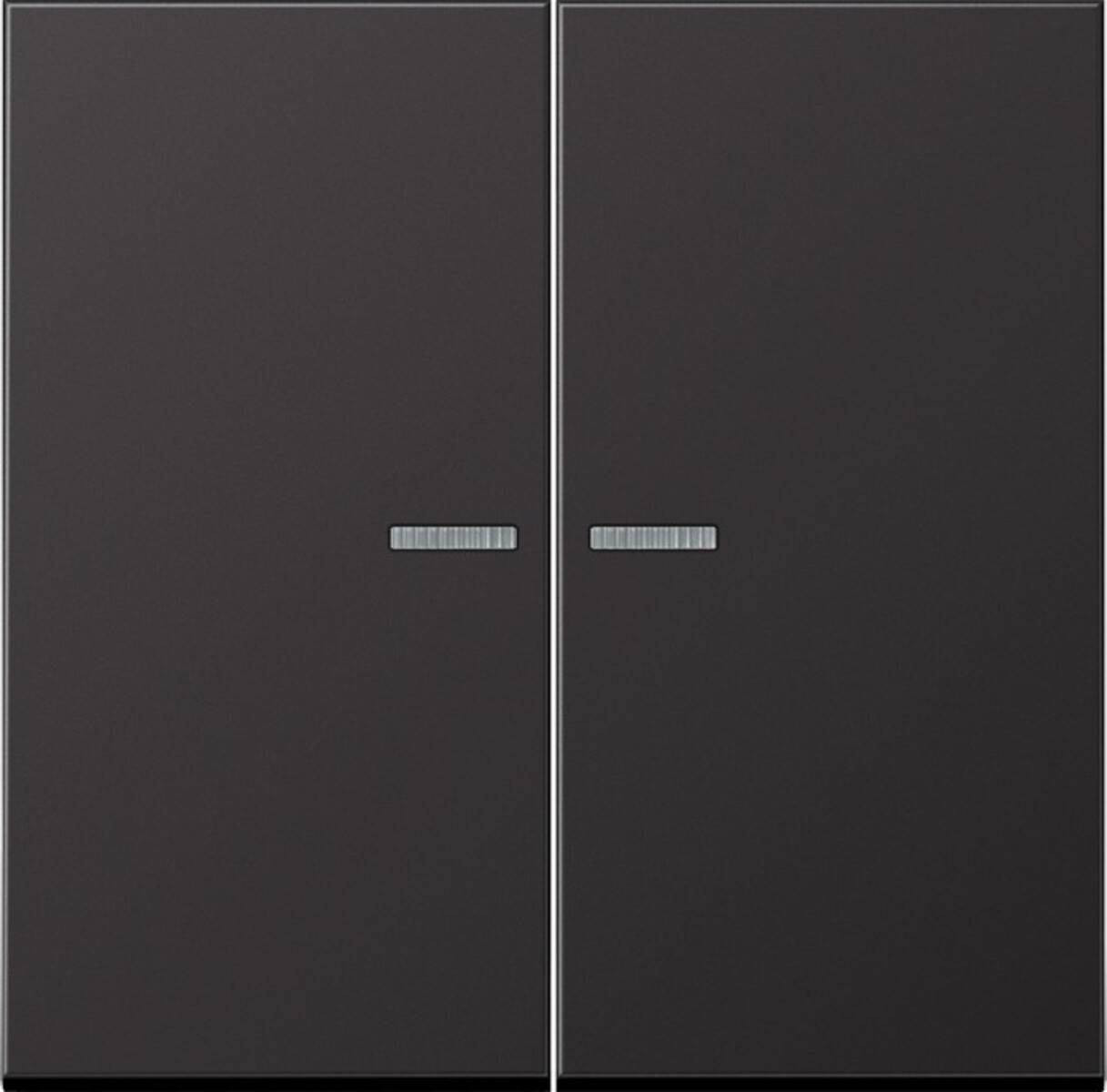 Zwei schwarze Schrankdüren mit silbernen Griffen in der Mitte.