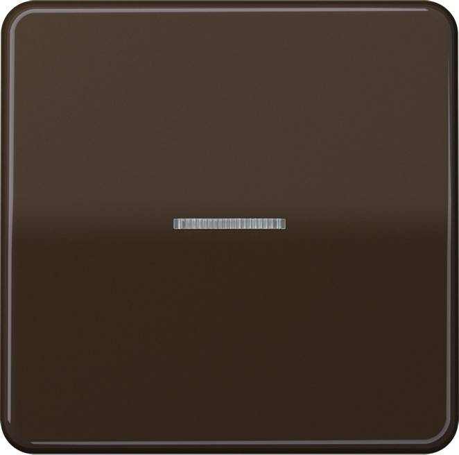 Jung KNX RF Taster 1fach CD 10911 ST RF BR