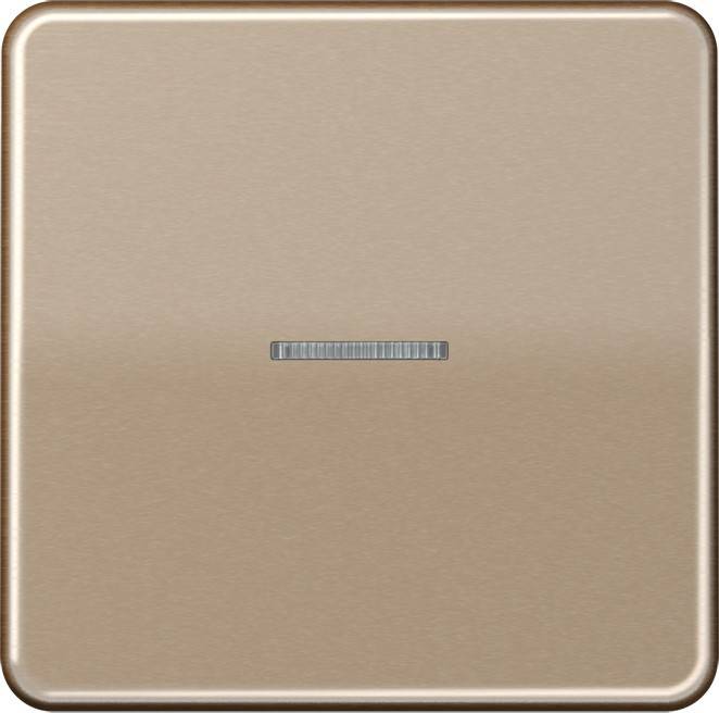 Jung KNX RF Taster 1fach CD 10911 ST RF GB