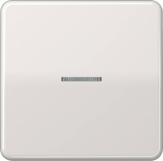 10 Stk. Jung eNet Funk-Steuertaste FM CD 1700 LG